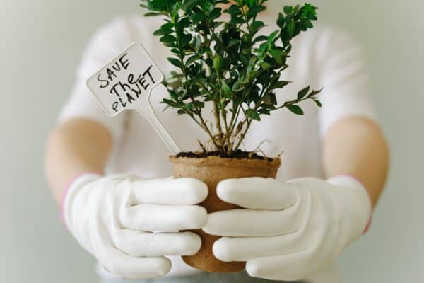 environmental charities - planting trees
